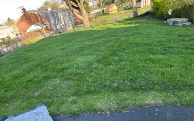 Photo of William C.'s yard after getting landscaping in Connellsville, PA