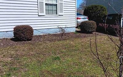 Photo of Dan S.'s yard after getting landscaping in Seaford, VA