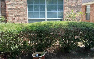 Photo of Matthew P.'s yard after getting landscaping in Porter, TX