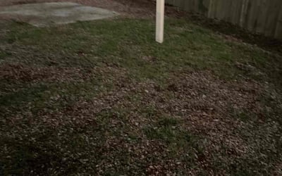 Photo of Danielle S.'s yard after getting landscaping in Palm Beach Gardens, FL