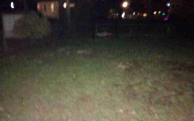 Photo of Sharon C.'s yard after getting landscaping in Hardin, MO