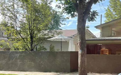 Photo of Nick K.'s yard after getting landscaping in Lake George, CO