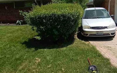 Photo of Terence S.'s yard after getting landscaping in Heath, OH
