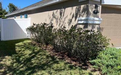Photo of Amber C.'s yard after getting landscaping in Keystone Heights, FL