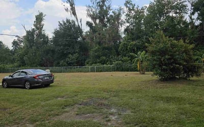 Photo of Megan S.'s yard after getting landscaping in Nichols, FL