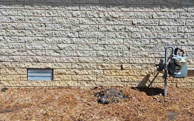 Photo of Jessica W.'s yard after getting landscaping in Knoxville, TN