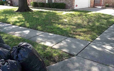 Photo of Michael G.'s yard after getting landscaping in Bellville, TX
