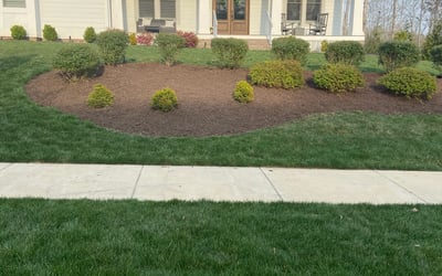 Photo of Jeff B.'s yard after getting landscaping in University Of Richmond, VA