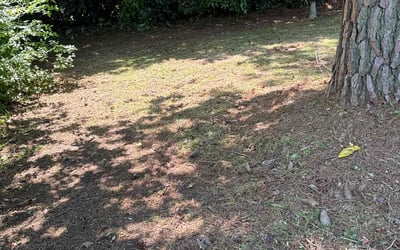Photo of Brett L.'s yard after getting landscaping in Grandy, NC