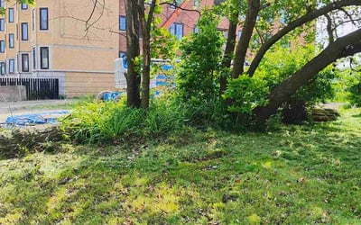 Photo of James C.'s yard after getting landscaping in Grosse Pointe, MI
