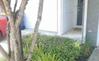 Photo of Kevin R.'s yard after getting landscaping in Dunkirk, MD