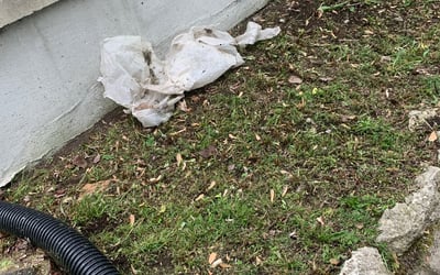 Photo of Bill R.'s yard after getting landscaping in Troy, OH