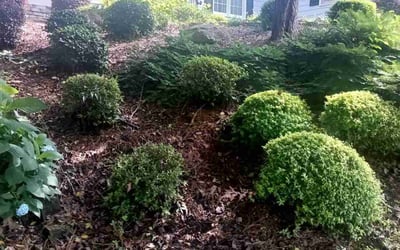 Photo of Cristal L.'s yard after getting tree care in Buford, GA