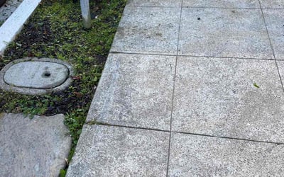 Photo of Christina C.'s yard after getting landscaping in Livermore, CA