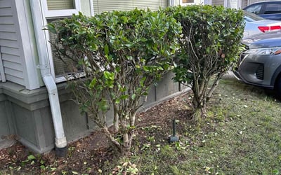 Photo of Linda F.'s yard after getting landscaping in Index, WA