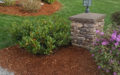 Photo of Alicia M.'s yard after getting landscaping in Roy, WA