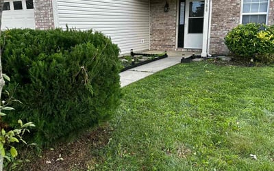 Photo of Marcus R.'s yard after getting landscaping in Clayton, IN