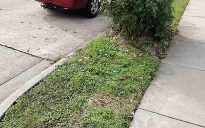 Photo of Elizabeth G.'s yard after getting landscaping in Westminster, TX