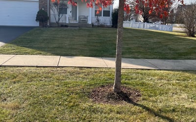 Photo of Al Y.'s yard after getting landscaping in Carpentersville, IL