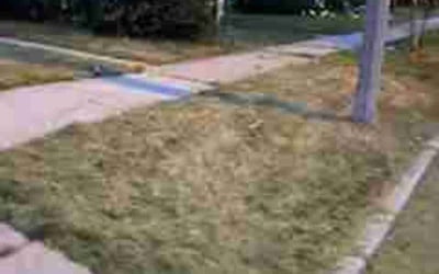 Photo of Victoria C.'s yard after getting landscaping in Eagle, WI