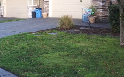 Photo of Jasmine A.'s yard after getting landscaping in Scappoose, OR