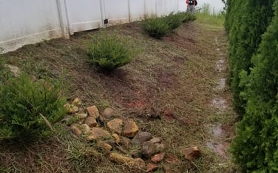 Photo of Mark S.'s yard after getting landscaping in East Spencer, NC