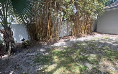 Photo of Mark R.'s yard after getting landscaping in Nobleton, FL