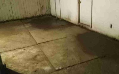Photo of Jamar H.'s yard after getting landscaping in Holt, MO