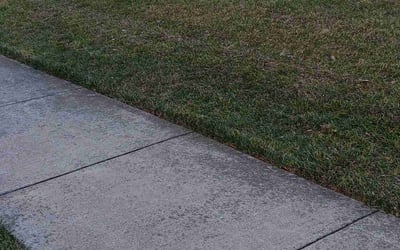 Photo of Jason H.'s yard after getting landscaping in Faulkner, MD