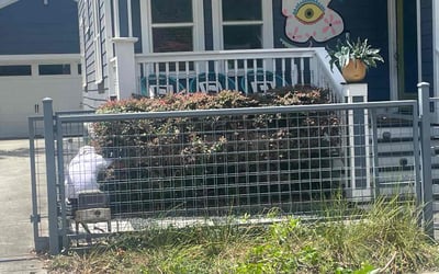 Photo of Zach G.'s yard after getting landscaping in Cat Spring, TX