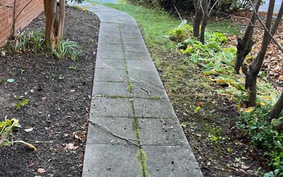 Photo of Hanna M.'s yard after getting landscaping in Adamstown, MD