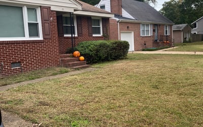 Photo of Christopher R.'s yard after getting landscaping in Achilles, VA