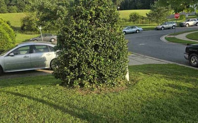 Photo of Mark B.'s yard after getting landscaping in Mineral Springs, NC