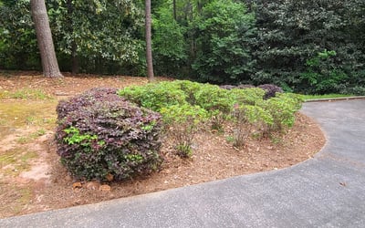 Photo of Steven W.'s yard after getting tree care in Woodstock, GA