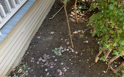 Photo of Austin C.'s yard after getting landscaping in Hutchins, TX