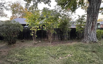 Photo of Bobby K.'s yard after getting landscaping in Indian Hills, CO