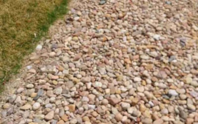 Photo of Michael W.'s yard after getting landscaping in Thornton, CO
