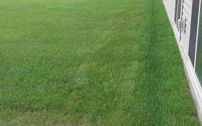 Photo of Stacy P.'s yard after getting landscaping in Hugo, MN
