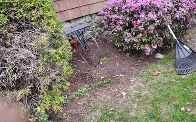 Photo of Debra L.'s yard after getting landscaping in Wayland, MA
