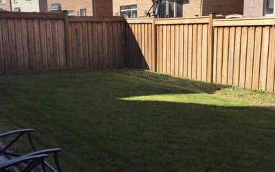 Photo of Michael D.'s yard after getting landscaping in Leominster, MA