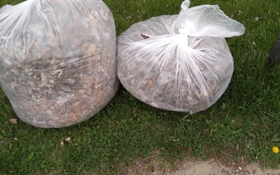 Photo of Elizabeth R.'s yard after getting landscaping in Camby, IN