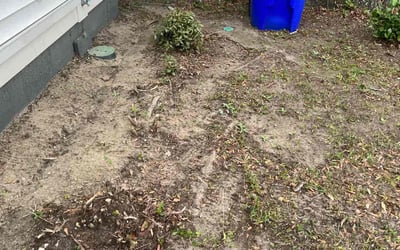 Photo of Jennifer B.'s yard after getting landscaping in Edisto Island, SC
