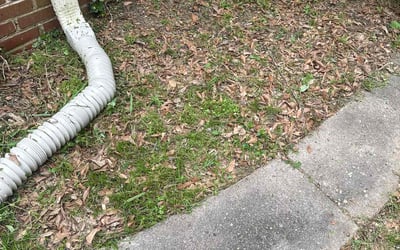 Photo of Kelly G.'s yard after getting landscaping in Inman, SC