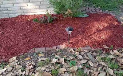 Photo of Peggy M.'s yard after getting landscaping in Saint Peters, MO