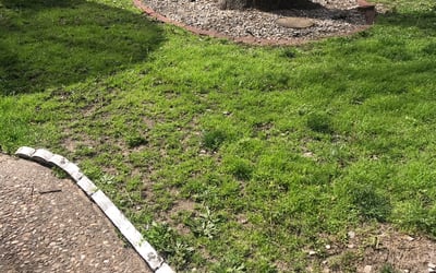 Photo of Jon B.'s yard after getting landscaping in Scurry, TX