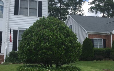 Photo of Heather J.'s yard after getting landscaping in Fuquay Varina, NC