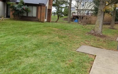 Photo of Glenn M.'s yard after getting landscaping in New Midway, MD