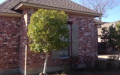 Photo of Chris P.'s yard after getting landscaping in Greenwell Springs, LA