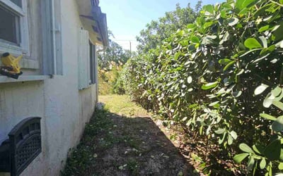 Photo of Carlos S.'s yard after getting landscaping in Boca Raton, FL