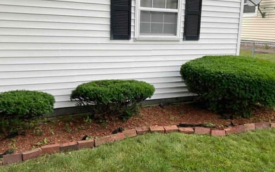 Photo of John D.'s yard after getting landscaping in Ipswich, MA